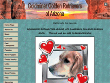 Tablet Screenshot of goldminergoldens.com